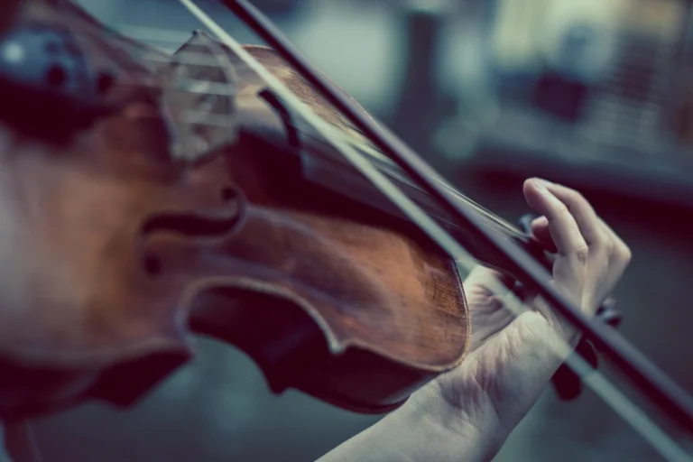 niekverlaan-violin-374096_1280